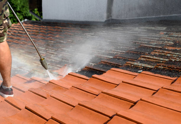 Best Local Pressure Washing Services  in Mount Pleasant, TX